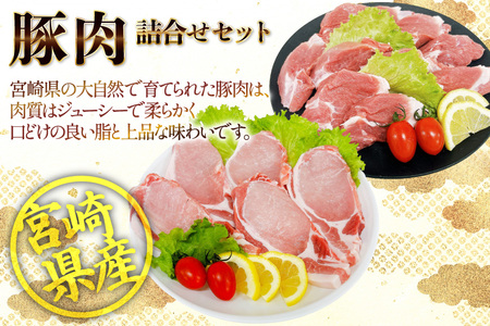 豚肉 宮崎県産豚肉 ロースカツ用 1kg ヒレカツ用 300g 詰め合わせ セット [TRINITY 宮崎県 日向市 452061324]