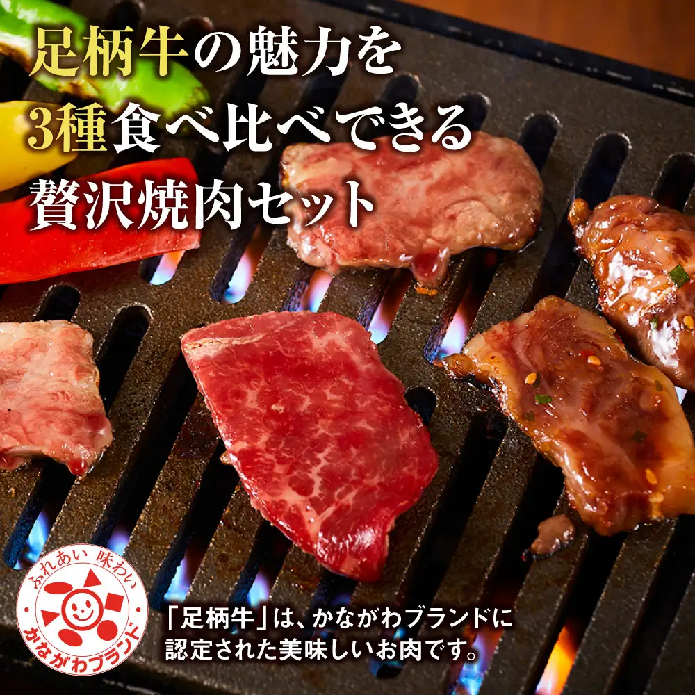 足柄牛 3種 焼肉セット（カルビ　上モモ　中落カルビ各250ｇ）｜ 焼肉セット 詰め合わせ