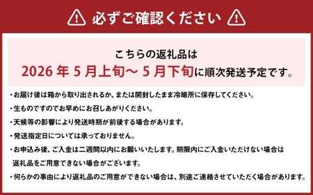 【希望の島】 完熟春みかん （カラマンダリン） 特選品 中玉 2kg 愛媛県 松山市 中島産 みかん ミカン 柑橘 贈答用 果物 くだもの フルーツ デザート 国産 常温 【2026年5月上旬～5月下旬迄順次発送予定】（1023）