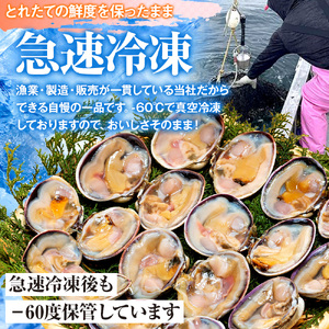 【訳あり】 大アサリ 2kg 愛知県 南知多町