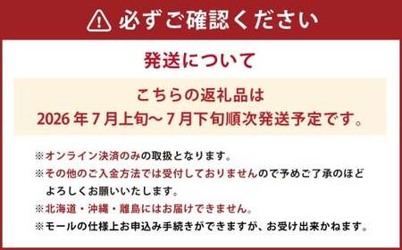 岡山県産白桃 4～6玉 約1.2kg【2026年7月上旬～7月下旬発送予定】【もも 桃 白桃 果物 フルーツ 国産 人気 おすすめ 岡山県 倉敷市】