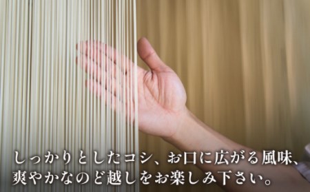 【宮内庁献上品】島原手延べそうめん 川上の糸500g [SCM028] そうめん