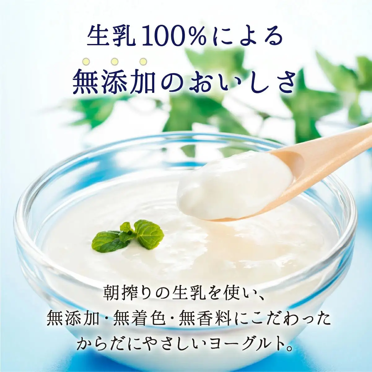 大富牧場の無添加ヨーグルト グリークヨーグルト450g×2