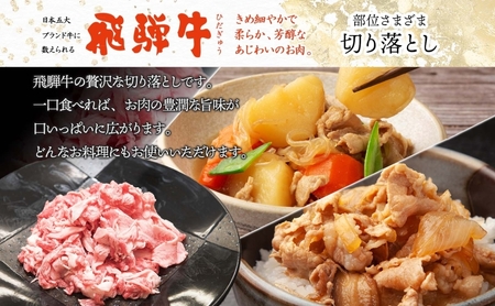 飛騨牛 切り落とし 計700g 350g×2パック 和牛 黒毛和牛 国産 国産牛 肉 牛肉 普段使い 炒め物 牛丼 冷凍 小分け 便利 手軽 グルメ カレー ビーフシチュー 煮物 肉じゃが 送料無料 養老ミート 岐阜県 揖斐川町