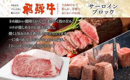 飛騨牛 サーロイン ブロック 5kg 塊肉 和牛 黒毛和牛 牛肉 肉 ステーキ ローストビーフ 厚切りステーキ 焼肉 大容量 国産 国産牛 グルメ ギフト お取り寄せ 贈り物 送料無料 冷凍 養老ミート 岐阜県 揖斐川町