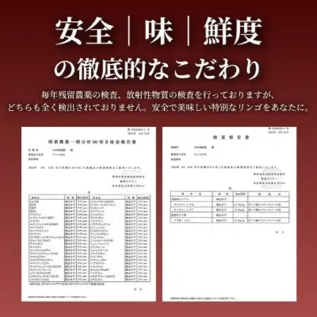 【青森直送 季節の味覚をお届け!】サン美丘 3個入×5箱(贈答用)青森産 産地直送 限定生産【配送不可地域：離島】【1700958】
