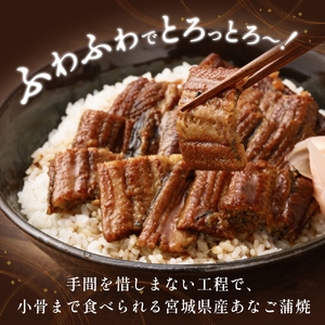 宮城県産 あなご 蒲焼 （1食）6パック入 冷凍 小分け 穴子 アナゴ 蒲焼き 魚 お魚 丼 寿司 おかず