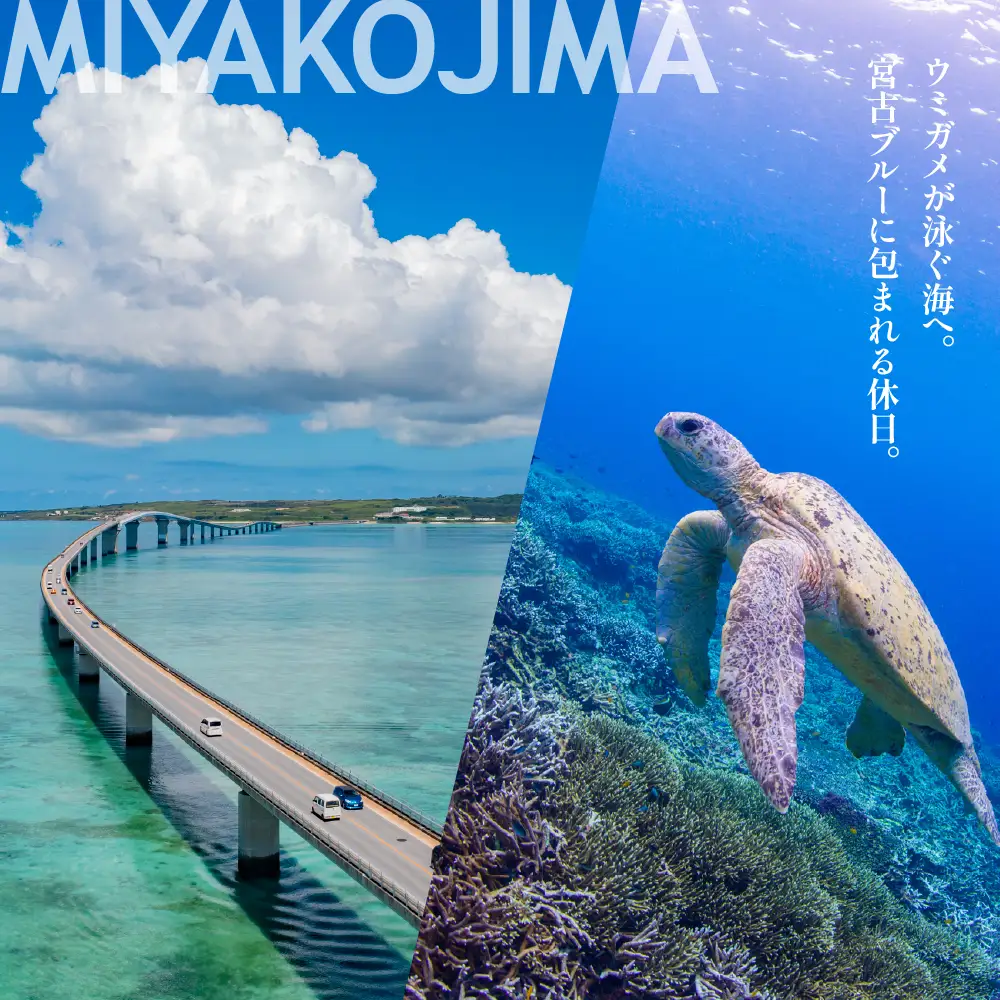 【沖縄ツアー】宮古島 後から選べる旅行Webカタログで使える！ 旅行クーポン（150,000円分） 旅行券 宿泊券 飲食券 体験サービス券（TA04）