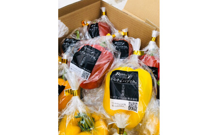 ジューシーパプリカ大玉セット (約2～2.5kg)