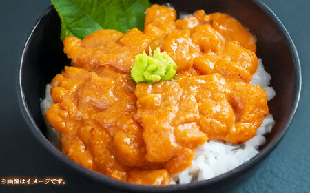 【お中元】【冷凍】 壱岐産 うに丼セット ＆ アオリイカ 《壱岐市》 【一支國屋】海鮮 うに うに丼 いか イカ アオリイカ 刺身 お刺身 冷凍配送[JCC025]