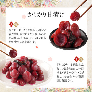【先行予約】【2026年7月以降順次発送予定】ちくほくのうめ想い 四季の食卓｜ うめ 甘漬け 大梅 小梅 塩昆布漬け  梅干し 