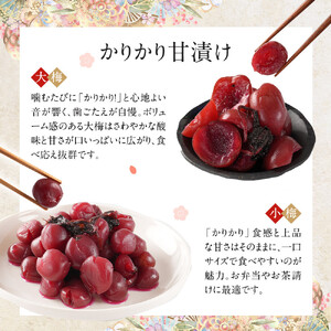 【先行予約】【2026年7月以降順次発送予定】ちくほくのうめ想い　珠玉三撰（増量セット）｜ うめ 甘漬け 大梅 小梅 塩昆布漬け  梅干し 
