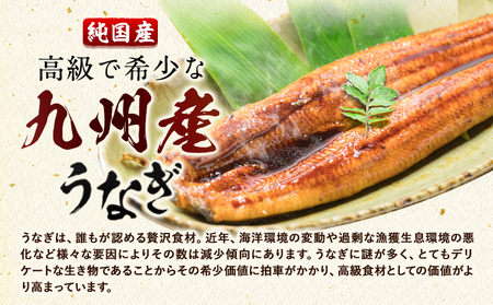九州産 うなぎきざみ 6個《30日以内に出荷予定(土日祝除く)》ウナギ 鰻 送料無料 刻みうなぎ 刻み鰻 ボイル 九州 熊本 熊本県 御船町