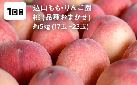 【2026年から発送開始】鏡石町 まきばのフルーツ定期便（桃 約5kg・シャインマスカット2房）モモ もも ブドウ ぶどう 福島県 鏡石町 F6Q-424