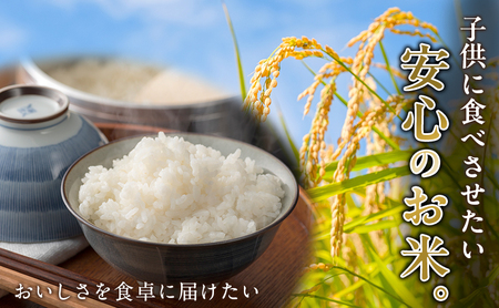 先行予約 令和8年度産 ミルキークイーン さかたのお米 日進市産 3kg お米 白米 ライス 精米 ご飯 おにぎり お弁当 和食 もっちり 粘り 強い 甘み 旨み