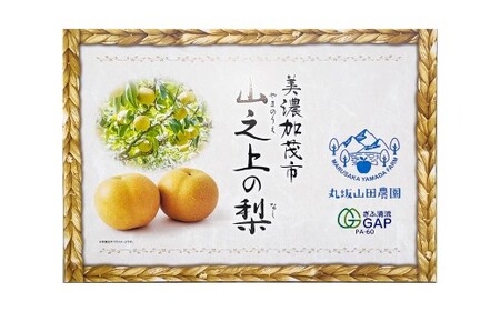《先行予約》｢丸坂山田農園｣ 山之上梨 新高 1箱 （ 約3.5kg ／ 3～6玉 ） 【2026年9月下旬～10月上旬 発送予定】