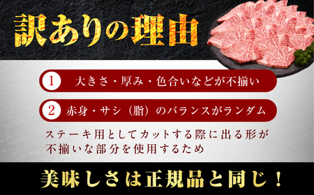 【訳あり】A4～A5 国産牛ヒレ焼肉 600g　広川町 / 久田精肉店株式会社[AFBV098]