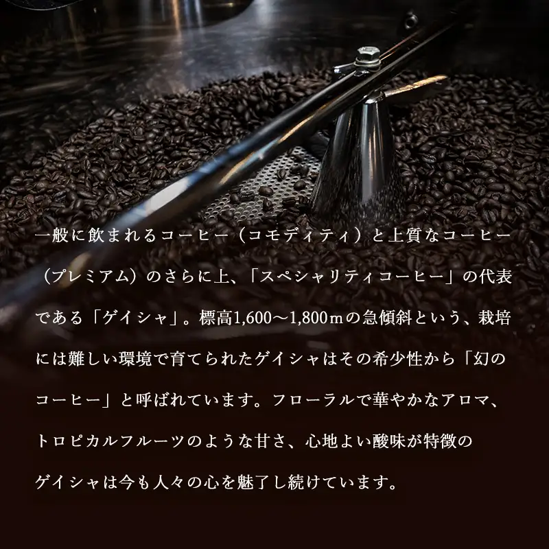定期便 6ヶ月 世界最高峰 珈琲の一つ ゲイシャ (粉) 100g×2 ポスト投函 珈琲 コーヒー 6回 お楽しみ Morrow珈琲 