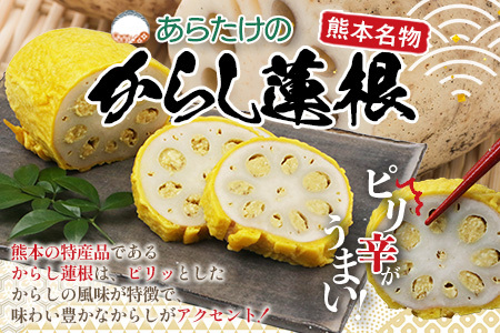 【熊本名物】あらたけの からし蓮根 2本セット (約200g×2本) 辛子 レンコン れんこん 熊本県 特産 名産品 ピリ辛 滋養 多良木町 老舗 あらたけ蒲鉾店 102-0503
