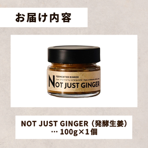 四万十生姜×特許乳酸菌 毎日続ける発酵生姜 「NOT JUST GINGER」 しょうが ショウガ 生姜ペースト  ／ Fnp-03