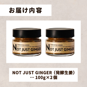四万十生姜×特許乳酸菌 毎日続ける発酵生姜 「NOT JUST GINGER」 2個入り しょうが ショウガ 生姜ペースト ／ Fnp-04