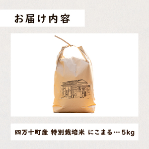 【にこまる】【数量限定】四万十清流育ち!つや甘み際立つ にこまる 5kg　米 こめ 白米 ／ Fnp-05