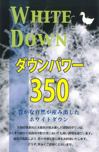 羽毛ふとん（抗ウイルス・抗菌加工）【シングル】ホワイトダウン８５％