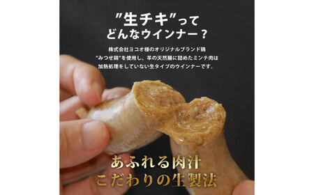 生チキ【みつせ鶏プレーン味】鶏生ウインナー 計10本（各40g×5本×2P）/ ソーセージ ウインナー BBQ  / 佐賀県 / 山代ガス株式会社 旬菜舎さと山[41AABM053]