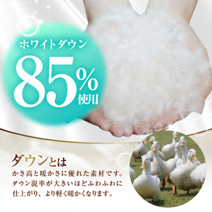【数量限定・訳あり】羽毛肌掛けふとん【シングル】ホワイトダウン８５％使用【柄お任せ】