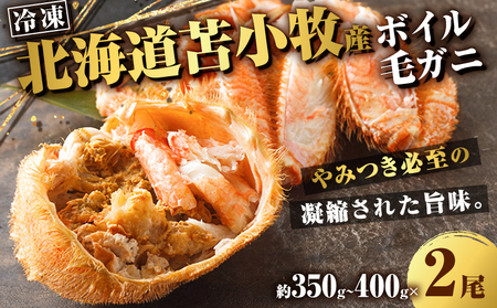 北海道苫小牧産 冷凍ボイル毛ガニ（350g～400g 2尾入） T020-008 魚介類 かに