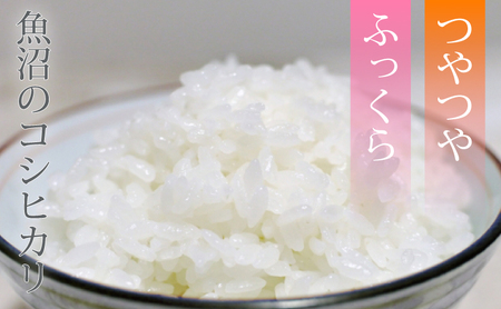 新潟産コシヒカリ4kg