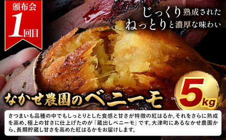 さつまいも 満喫頒布会 全3回 定期便 なかせ農園のベニーモ 干し芋 芋けんぴ 計6.5kg《お申込の翌月より発送開始》熊本県 大津町 さつまいも サツマイモ 紅はるか ほしいも 焼き芋 やきいも イモケンピ 中瀬農園 熊本県産 国産 頒布会 3ヶ月定期便