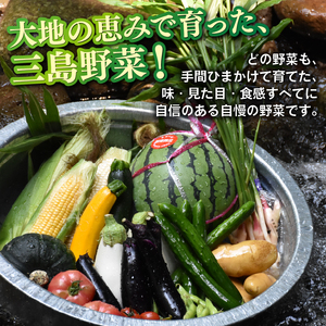 【2026年9月発送 夏野菜】三島野菜詰め合わせセット 8種類以上