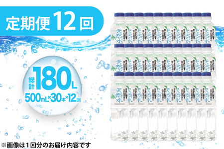 AJ617 山崎本店酒造場 【12回定期便】 雲仙島原の天然水 500mL 30本 計15L [ 水 ペットボトル 天然水 おいしい 備蓄 日用品 大容量 定期便 定期 1年 名水百選 軟水 長崎県 島原市 ]
