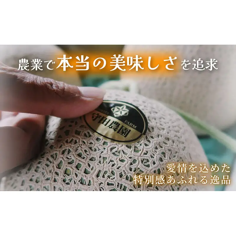 【糖度15度以上 赤肉メロン】富良野産 メロン 1.6kg×1玉 4箱 計6.4kg｜北海道富良野市 7～8月発送 ご褒美 プレゼント メロン 赤肉メロン 富良野メロン 果物 フルーツ とろける甘さ 夏季限定 旬の味覚 芳醇な香り