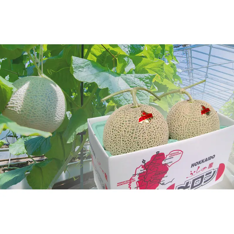 富良野産 キングメロン 大玉 2玉 秀品 計4kg 赤肉 メロン 富良野メロン 果物 フルーツ 甘い ジューシー 新鮮 ブランドメロン 贈り物 ギフト おやつ 夏 北海道 富良野市