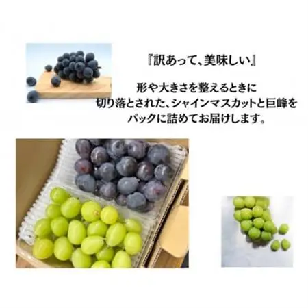 【2026年発送】訳あり カット シャインマスカット カット 巨峰 計1kg【配送不可地域：離島・沖縄県】【1703898】