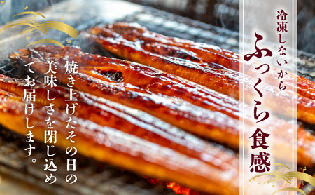 うなぎ蒲焼き 800g (200g×4尾) 