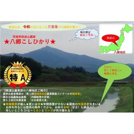 【玄米30kg⇒七分搗き米】筑波山麓厳選★検査1等米こしひかり【恋瀬姫の舞】令和7年産【配送不可地域：離島・沖縄県】【1702694】
