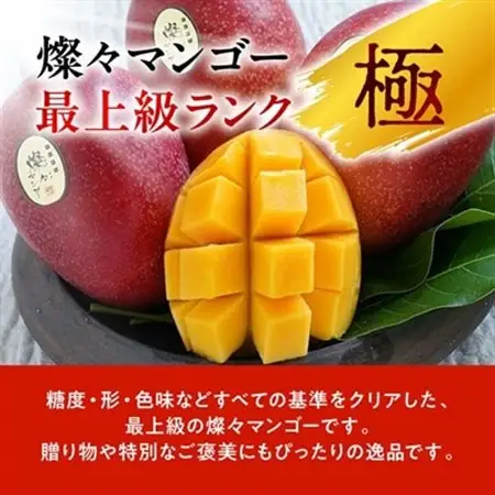【2026年7月から順次発送・最高級ランク極】燦々マンゴー900g(2玉)_マンゴー_【1622439】