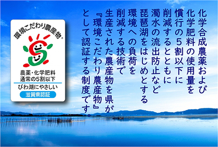 【7年産】 近江米 コシヒカリ 無洗米 5kg 【BN14W】近江米 環境こだわり米 滋賀県産 こしひかり 無洗米 