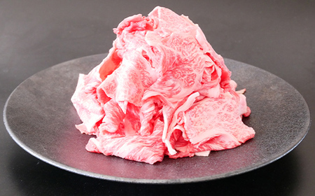 A4等級以上 飛騨牛 焼肉 切り落とし 250g × 3 計 750g 牛肉 ブランド牛 肉 切落し わけあり ぎゅうにく にく ひだぎゅう ひだうし 訳あり 商品 ワケアリ 不揃い 大容量 切り落とし きりおとし 小分け 冷凍 ネオプライムヒグチ 食品 訳有 焼肉セット 焼肉用 選べる 肉のひぐち F6M-329
