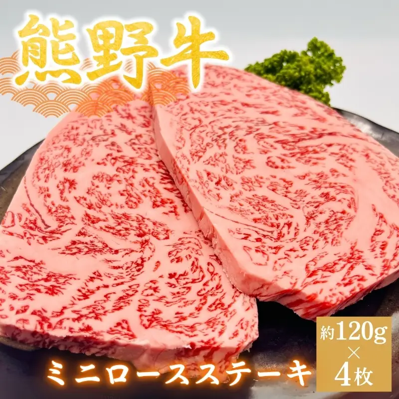 3カ月定期便 熊野牛 ステーキ3部位 4人で味わう 食べ比べ定期便【hcy017-tk】