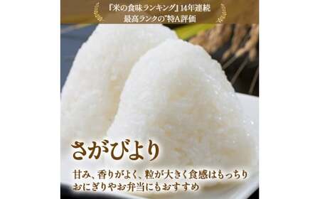 【先行予約】牟田農園のさがびより 10kg （5kg×2袋） 【令和8年産】 ＜精米＞ 新米 米 さがびより 牟田農園 佐賀県 太良町