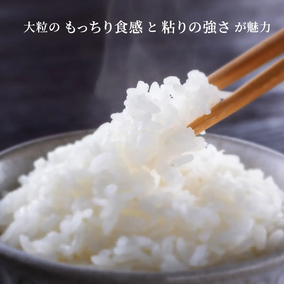 令和7年産 にじのきらめき 10kg ( 5kg × 2袋 ) 白米 精米 国産 茨城県 お米 米 おこめ おコメ ごはん 銘柄米 スピード 最短 7日 すぐ届く すぐ発送 [SC055sa-sp]