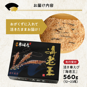 S005-006_【鮮度抜群】《美味しさの極み》天草産・幸福堂の活き車えび『海老王』（560g）〈先行予約〉/ 車エビ 車海老 エビ えび