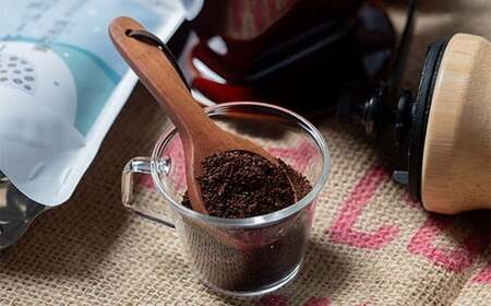 【定期便】雪町コーヒー 粉（100g）5個セット×3回 自家焙煎 低温貯蔵 エチオピア 北海道 沼田町 n-0129