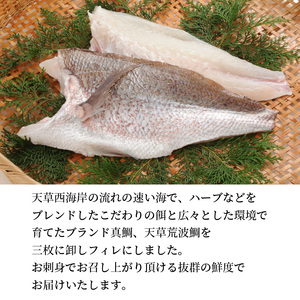 S006-004_天草荒波真鯛　フィレ　1尾分　/ 真鯛 鯛 タイ 刺し身 刺身