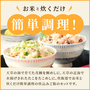 S006-003_お米と炊くだけ簡単！鯛めし2P・たこめし2Pセット　/ 炊込みご飯 鯛めし たこめし