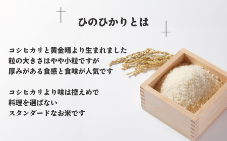 【令和7年産】わがまち育ち 無洗米 ひのひかり 10kg_HA1961 米 白米